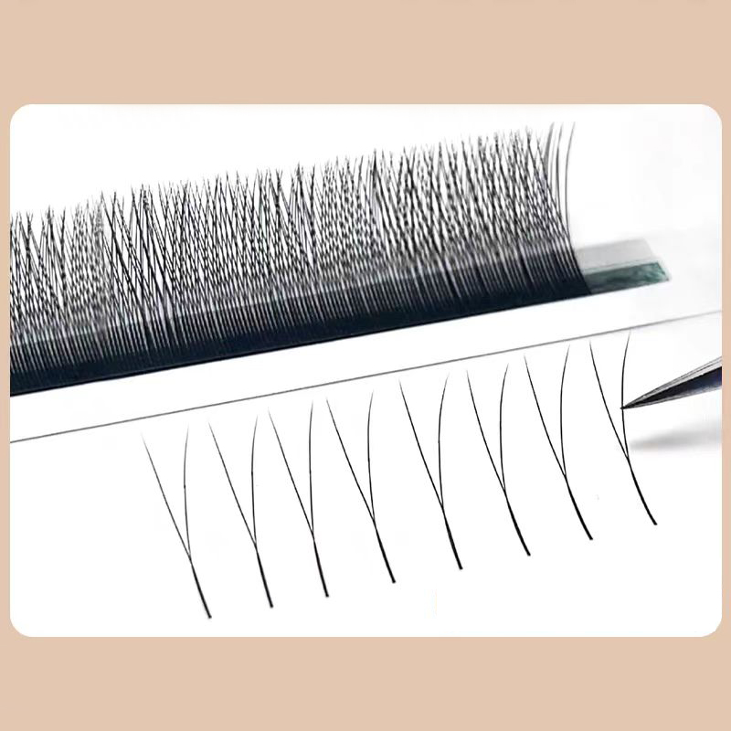 MARIA 2D Y Shape Eyelashes Han - đánh giá và giá Eyelash Extension Human Hair