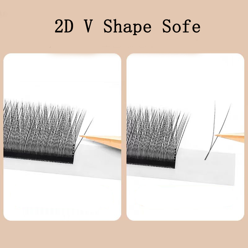 MARIA 2D Y Shape Eyelashes Han - đánh giá và giá Eyelash Extension Human Hair